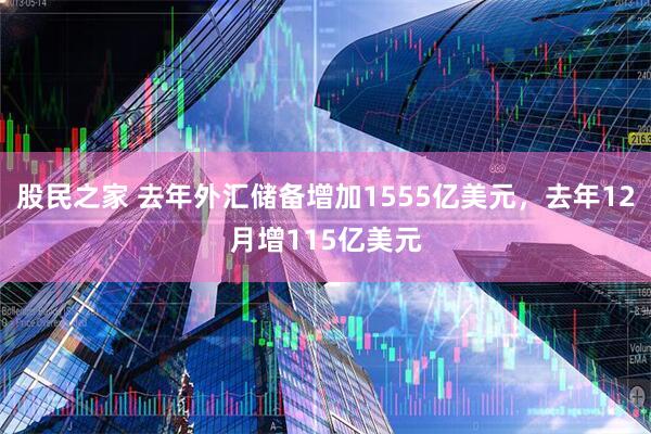 股民之家 去年外汇储备增加1555亿美元，去年12月增115亿美元